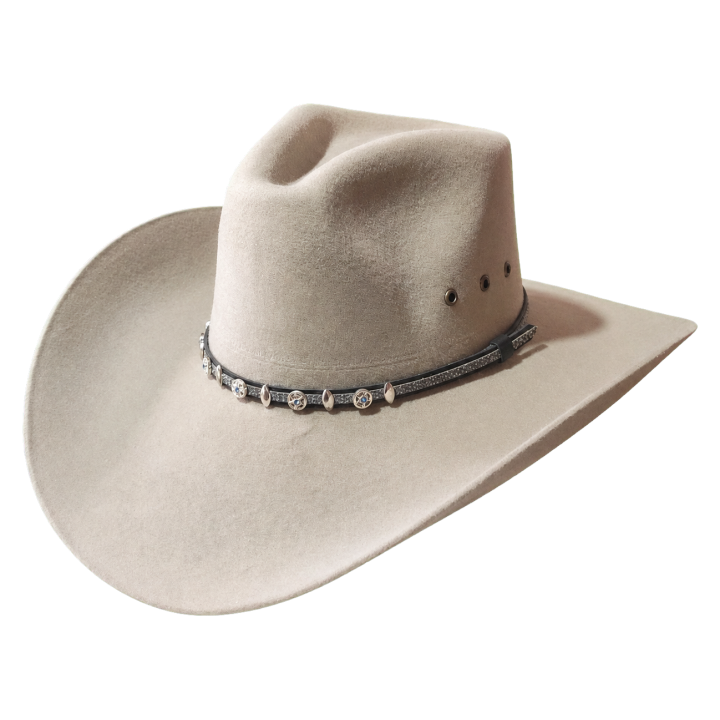 Montana 100x