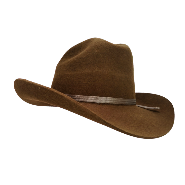 Sombrero Rancherito de Lana | Ala 8 cm | La Casa del Sombrero