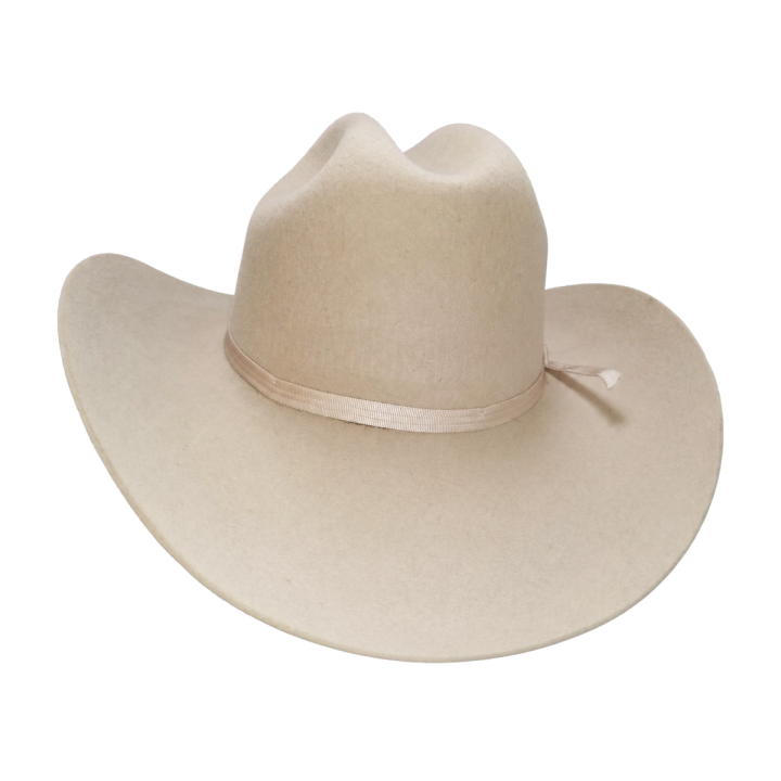 Sombrero Rancherito de Lana | Ala 8 cm | La Casa del Sombrero
