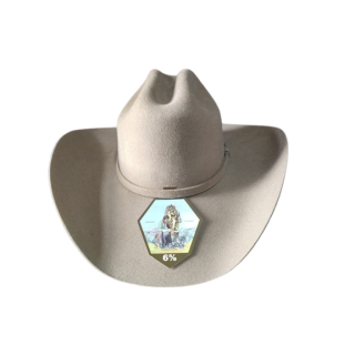 Sombrero Stetson Americano 5X | Fieltro Fino Importado