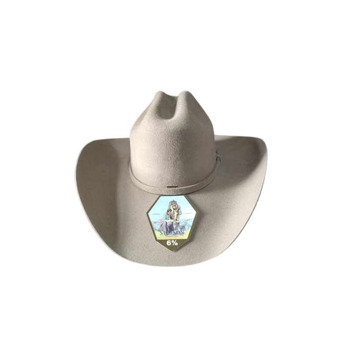 Sombrero Stetson Americano 5X | Fieltro Fino Importado