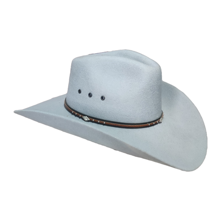 Montana 100x
