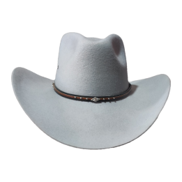 Montana 100x