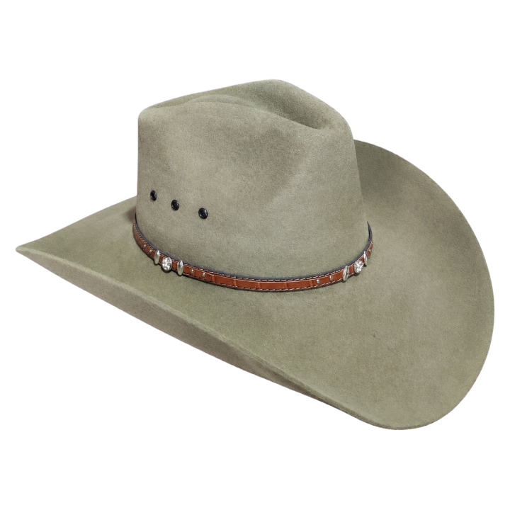 Montana 100x