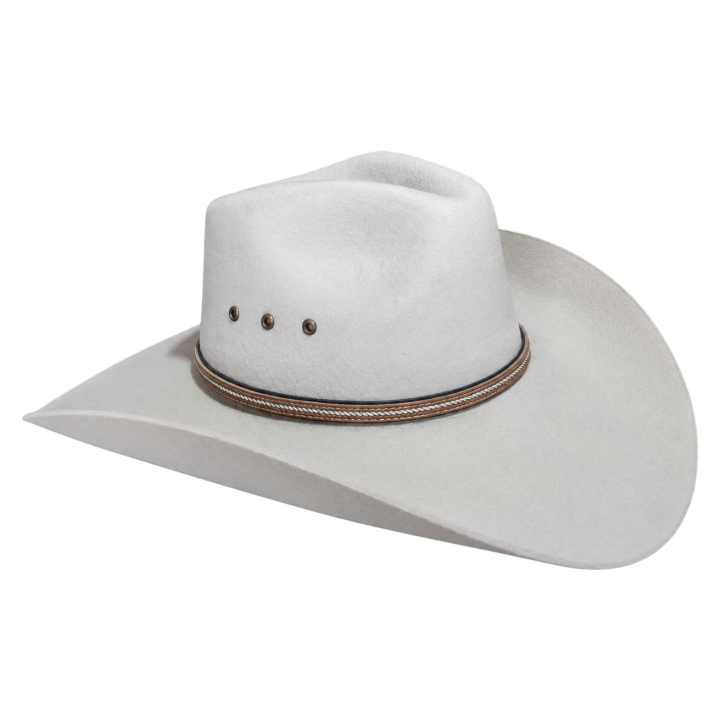 Montana 100x