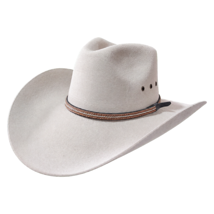 Montana 100x