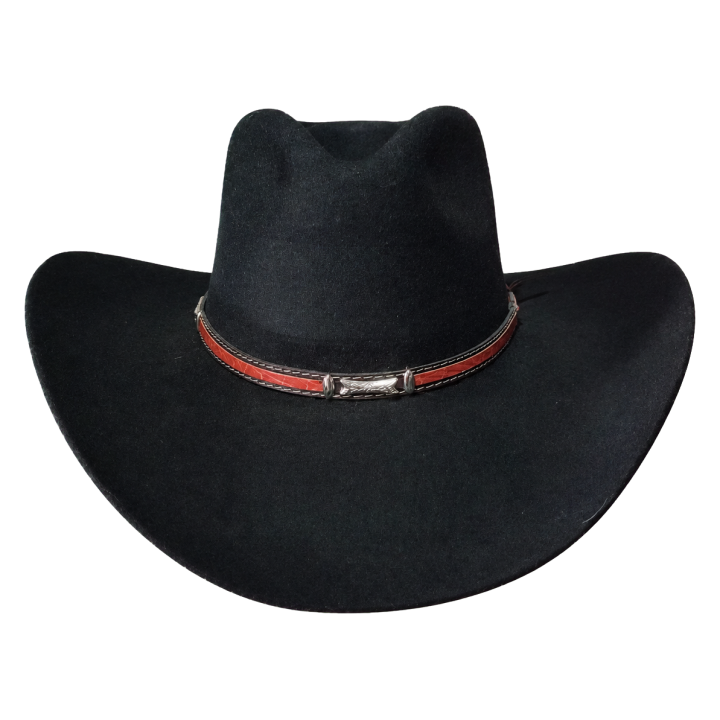 Montana 100x