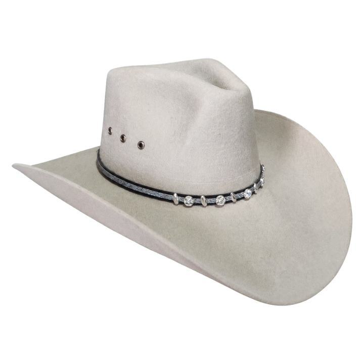 Montana 100x